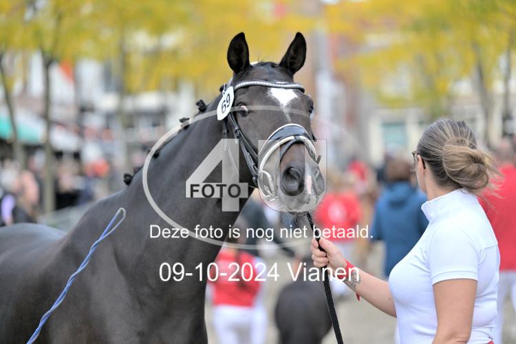 241009 1181