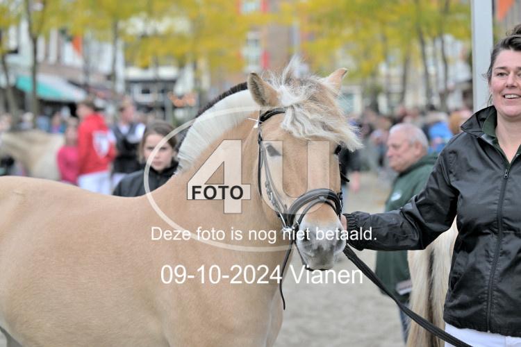241009 1213