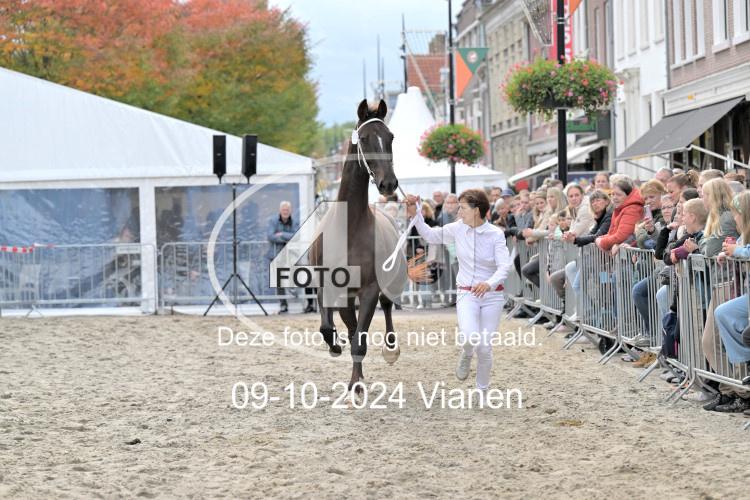 241009 1694