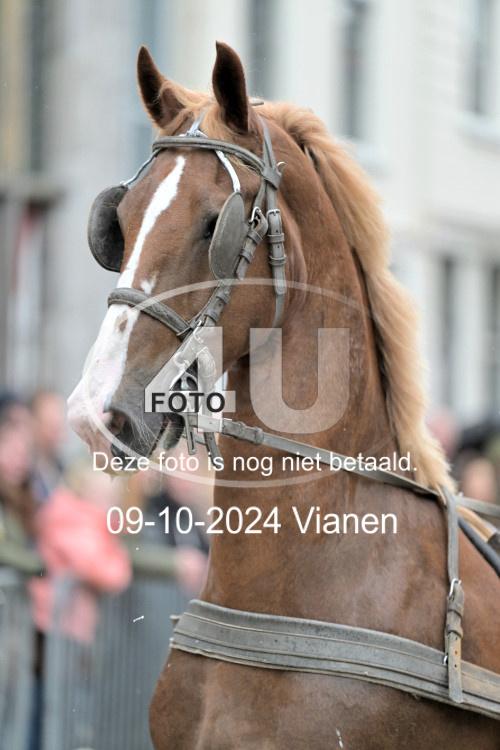 241009 5764