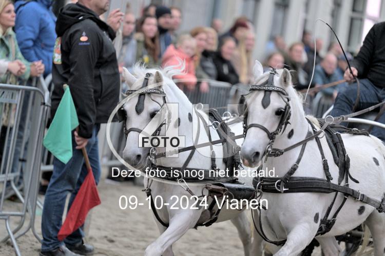 241009 5921