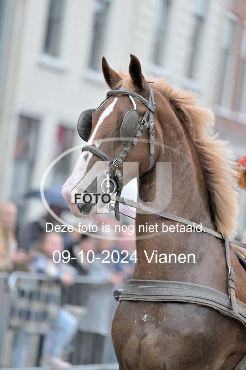 241009 6405