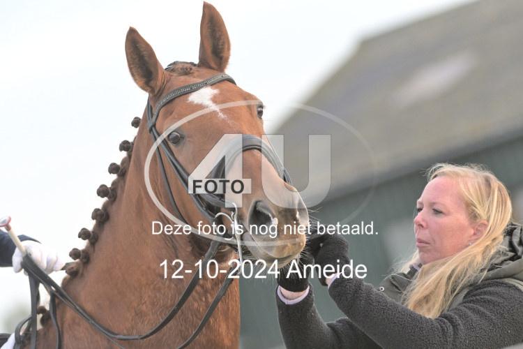 241012 0001