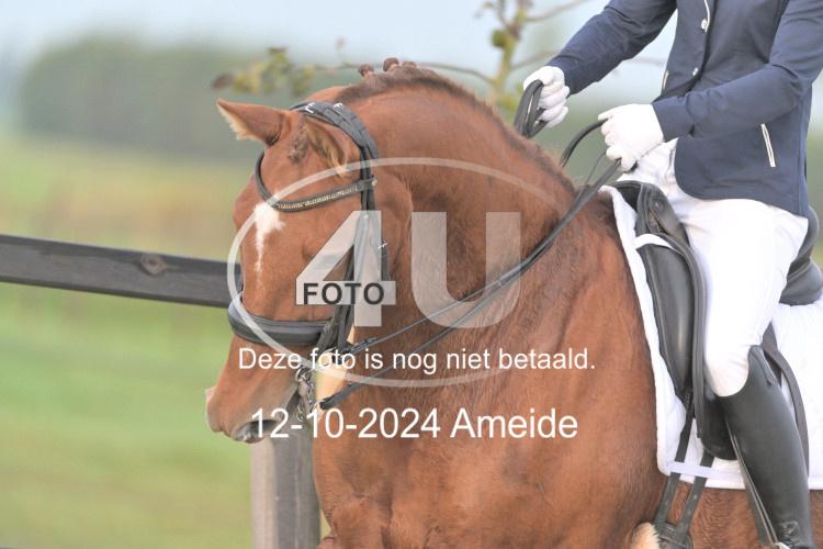 241012 0026