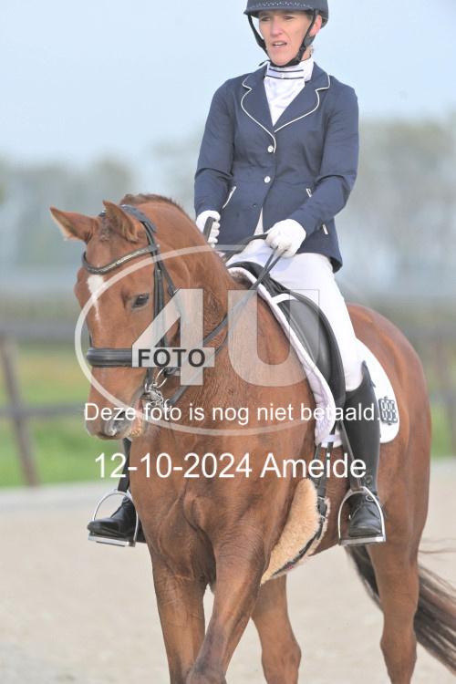 241012 0036