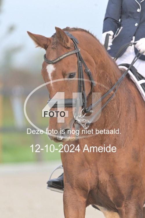 241012 0038
