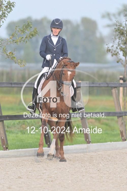 241012 0046