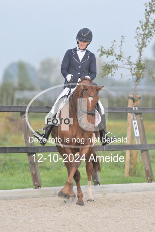 241012 0048