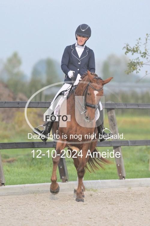 241012 0049