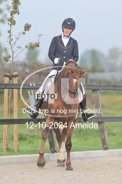241012 0050