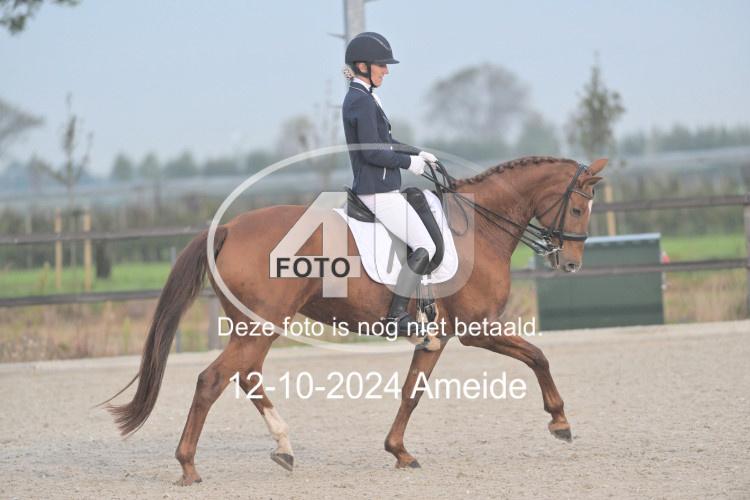 241012 0056