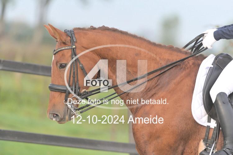 241012 0068