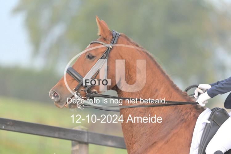 241012 0069
