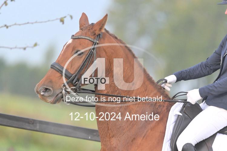 241012 0070