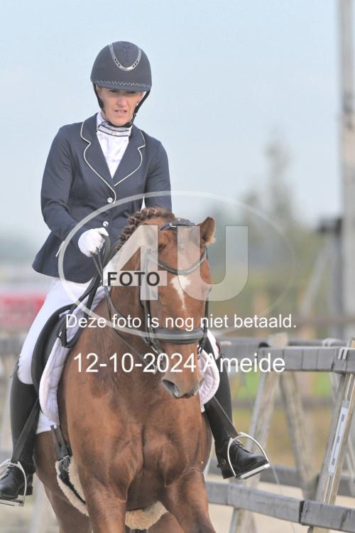 241012 0078