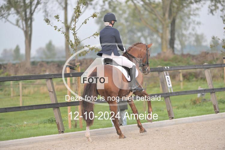 241012 0080