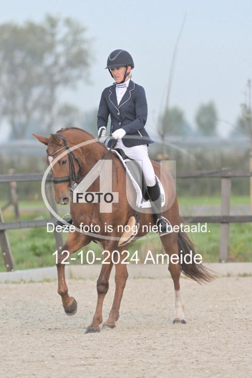 241012 0084