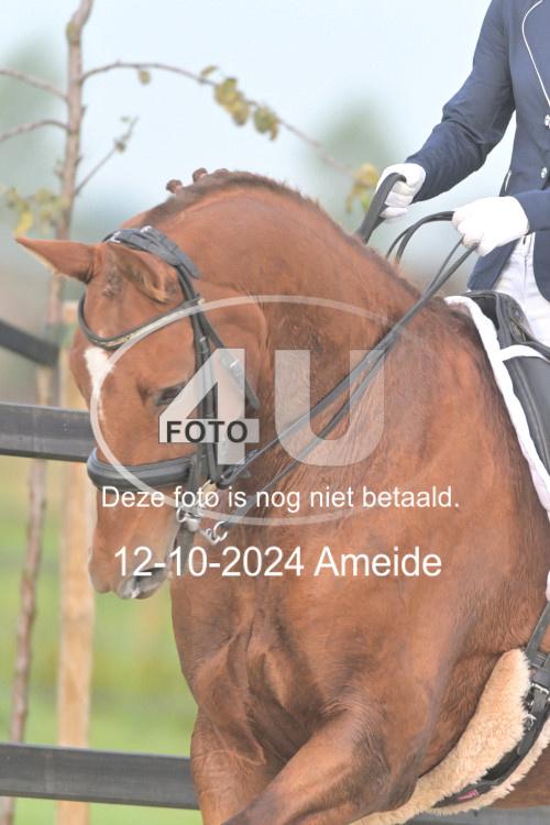 241012 0087