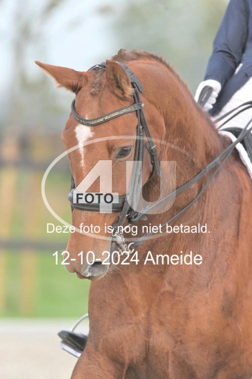 241012 0099