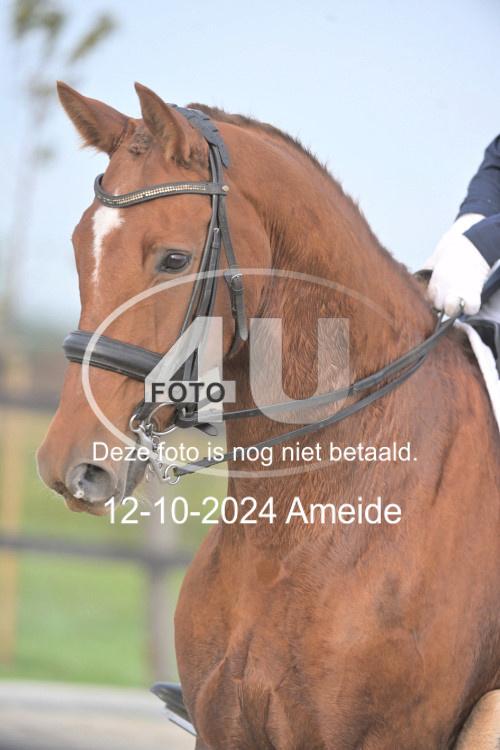 241012 0100