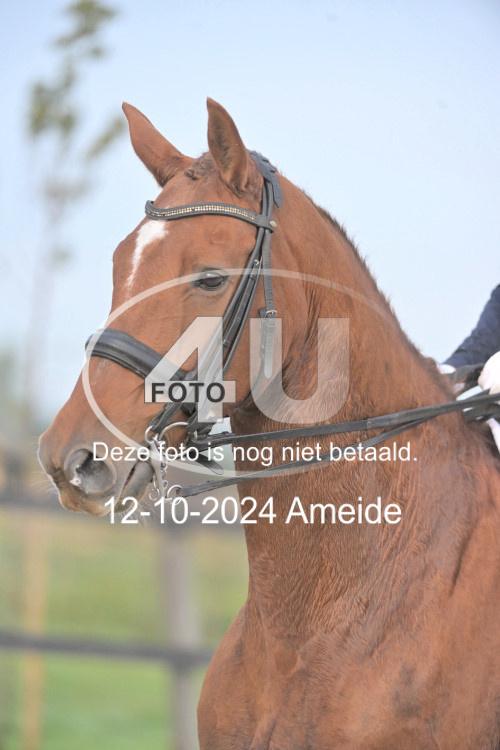 241012 0101