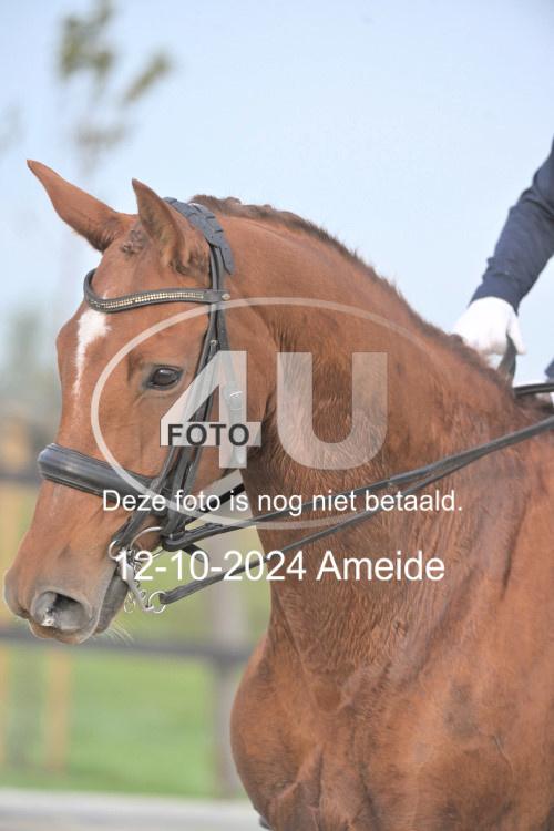 241012 0103
