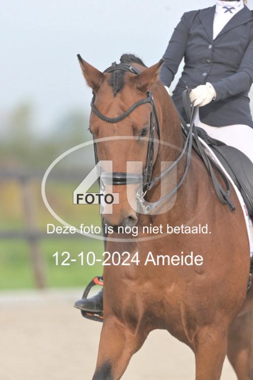 241012 0123