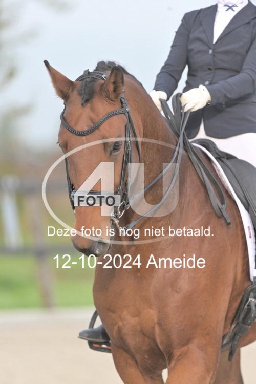 241012 0124