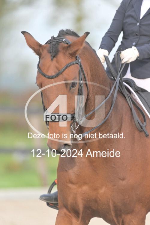 241012 0125