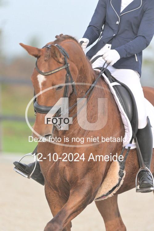241012 0200