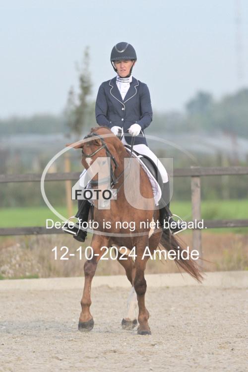 241012 0208
