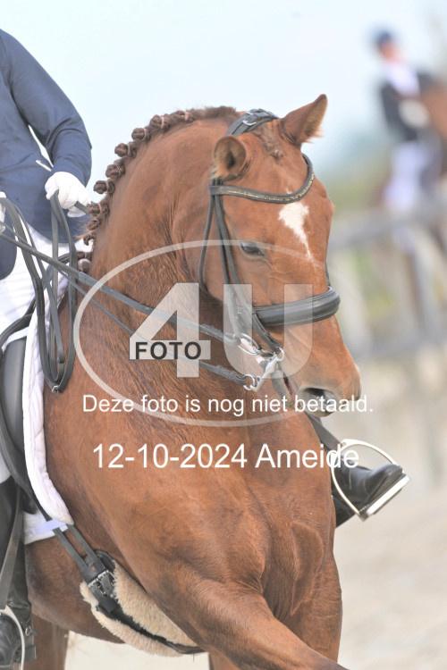 241012 0215