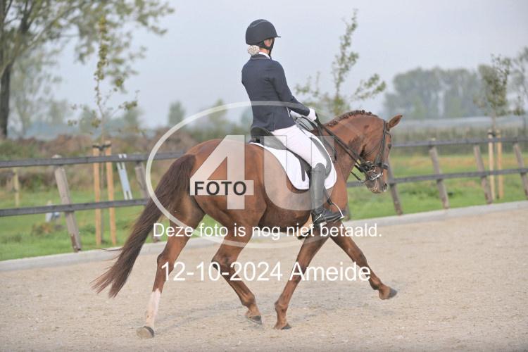 241012 0216