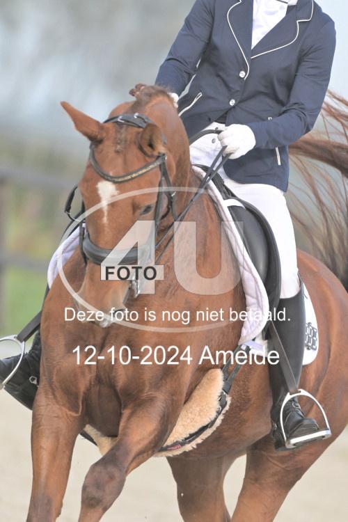 241012 0226