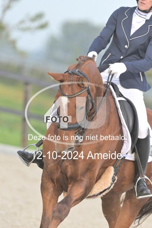 241012 0228