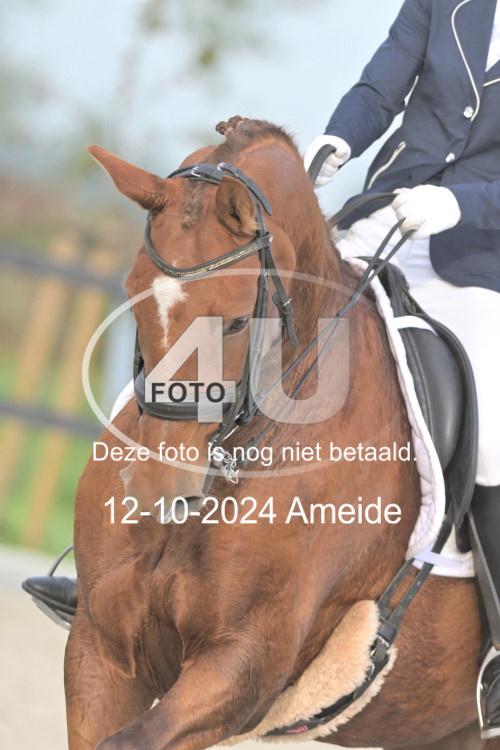 241012 0230