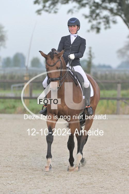 241012 0254