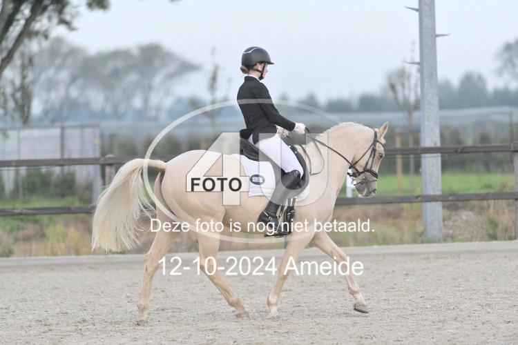 241012 0279