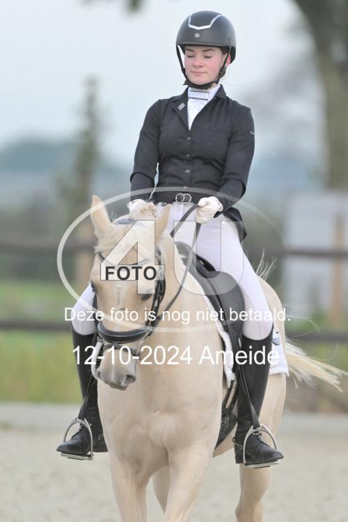 241012 0286