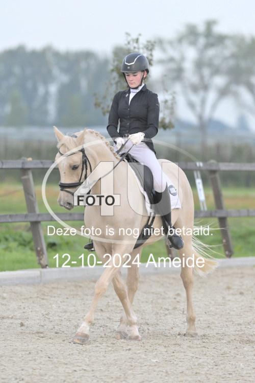 241012 0294
