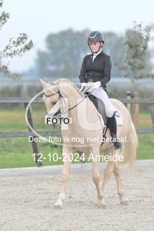 241012 0295