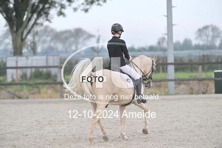 241012 0306