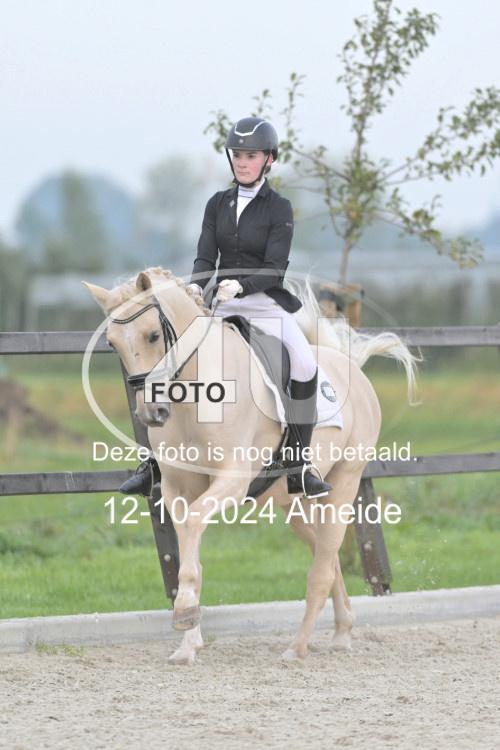 241012 0315