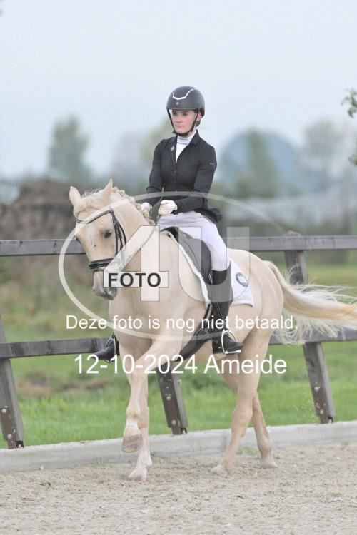 241012 0316