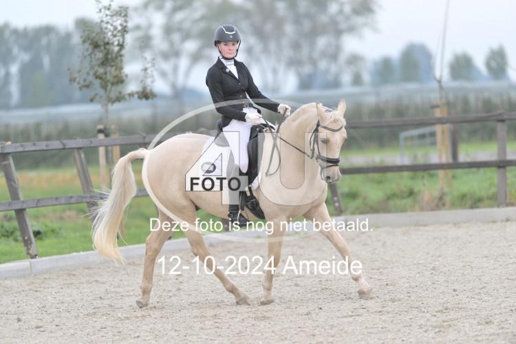 241012 0331