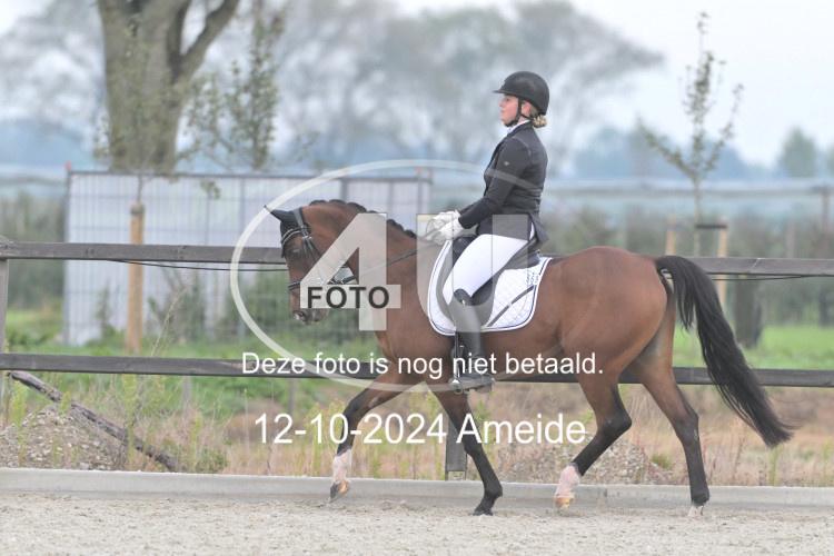 241012 0334