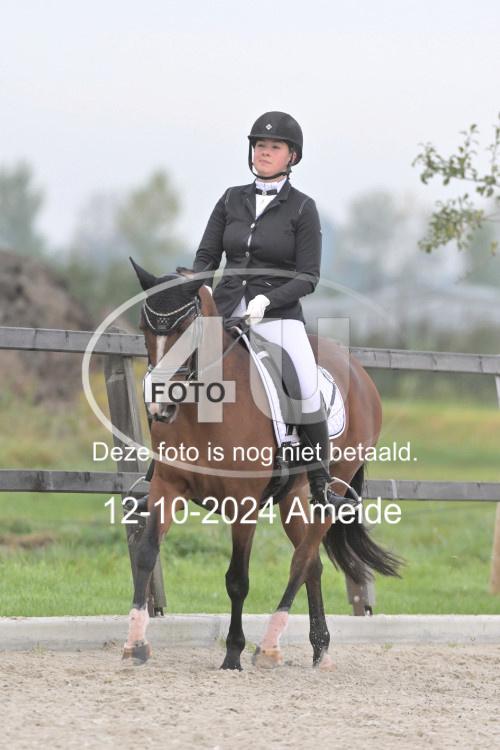 241012 0340