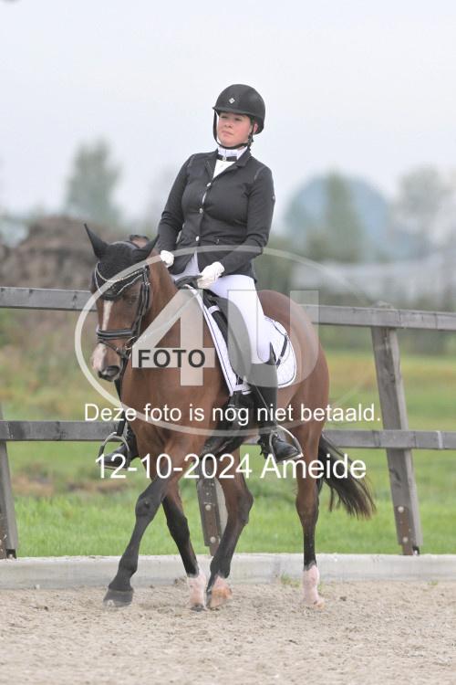 241012 0341