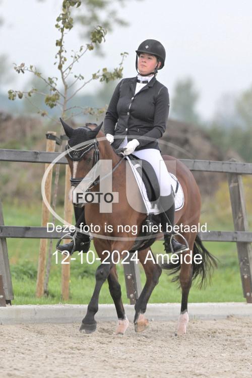 241012 0342