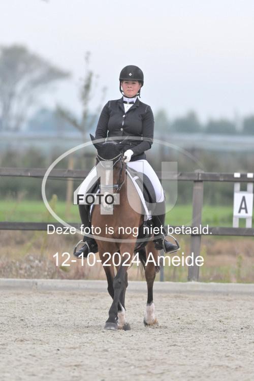 241012 0345